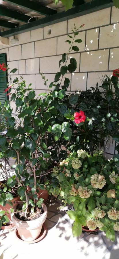 Apartment In Bol With Sea View, Terrace, Air Conditioning,Wifi 3634-2 Eksteriør bilde